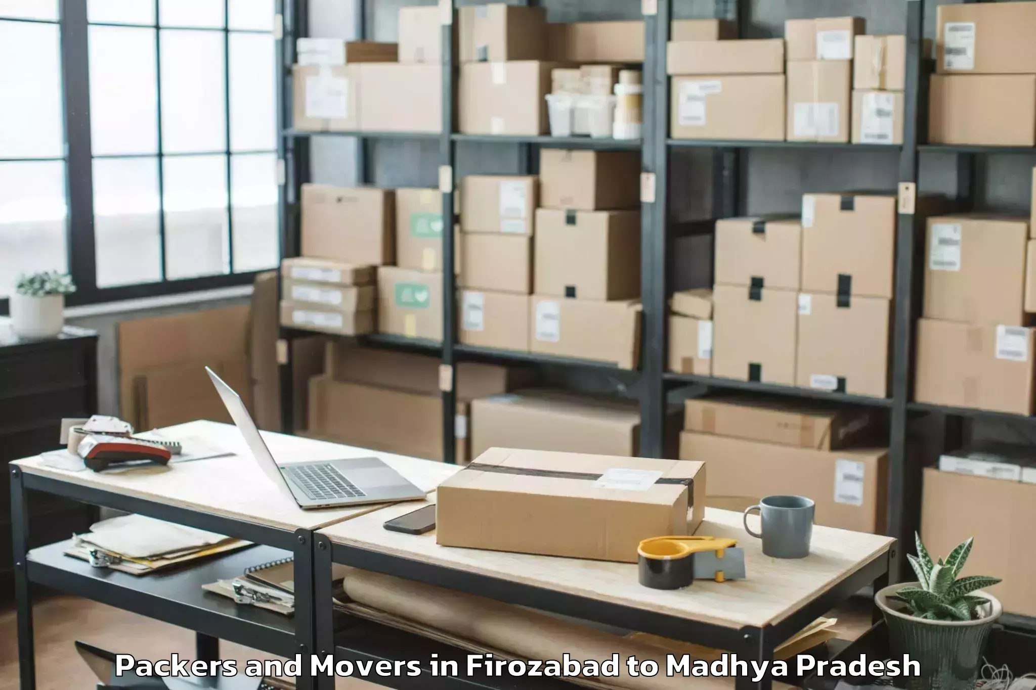 Affordable Firozabad to Damoh Packers And Movers